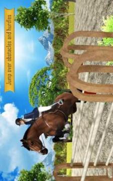 Horse Riding : Simulator游戏截图3