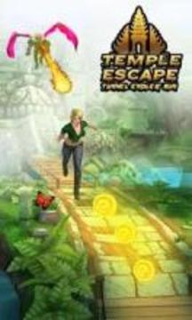 Temple Princess Escape Jungle Run游戏截图2