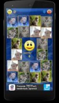 Kittens Memory Game with photos of cute kittens游戏截图3