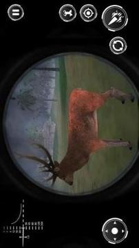 Wild Safari Hunting Animals - Sniper Shooting Game游戏截图5