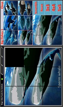 Magic Slide Puzzle B Fishes 1游戏截图5