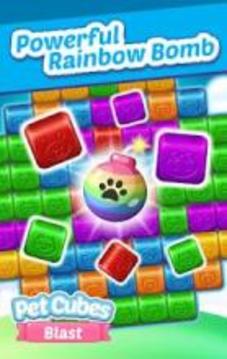 Pet Cubes Blast游戏截图3
