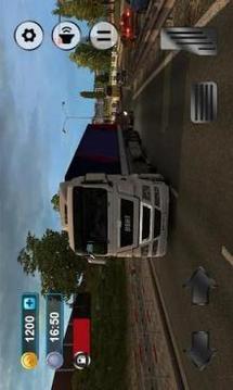 Real Truck Drving Transport Cargo Simulator 3D游戏截图2