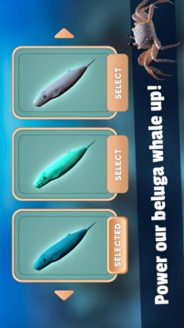 Beluga Whale Simulator - Underwater Life 3D游戏截图2