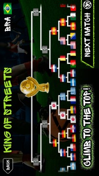 Street Soccer World Pro 2014游戏截图3