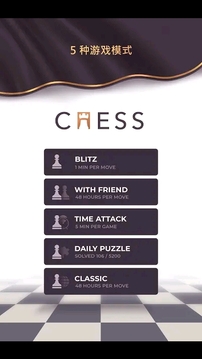 皇家国际象棋游戏截图3