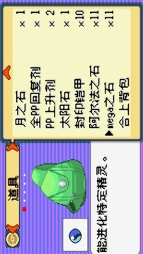 口袋妖怪光之魄游戏截图1