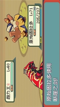 口袋妖怪光之魄游戏截图3