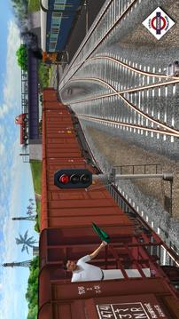 印度火车模拟游戏截图2
