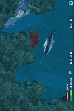 3D狂鲨3游戏截图2