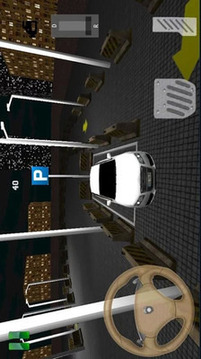 急速停车3D游戏截图4