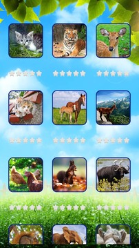 Animals World Jigsaw Puzzle游戏截图2