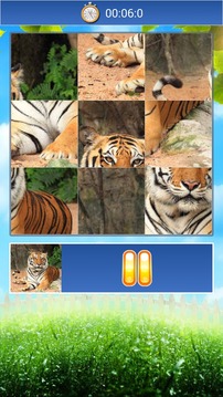 Animals World Jigsaw Puzzle游戏截图4