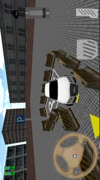 急速停车3D游戏截图3