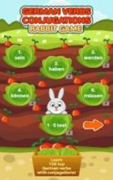 German Verbs Conjugations Rabbit Game游戏截图5