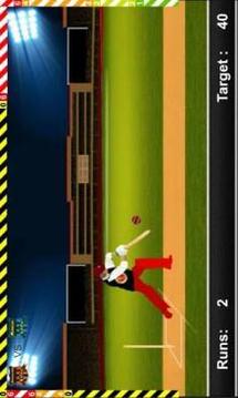 Play IPL Cricket Game 2018游戏截图2