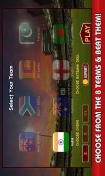 World Cricket: Indian T20 Live游戏截图1