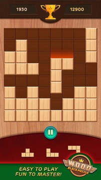 Wood Block Puzzle 1010游戏截图4