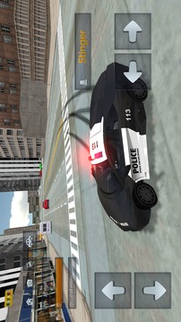 Cop Car Police Chase Driving游戏截图2