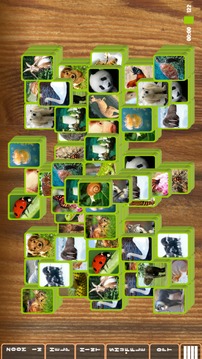 Mahjong Fauna: Animal Tiles LE游戏截图3