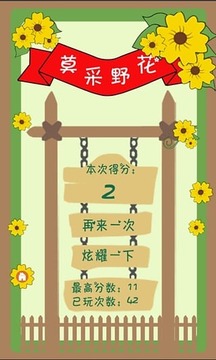 莫采野花游戏截图1