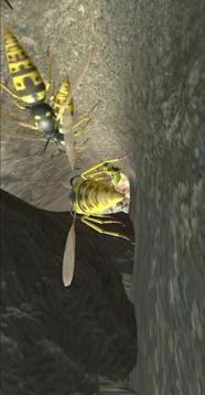 Wasp Nest Simulator - Insect and 3d animal game游戏截图1