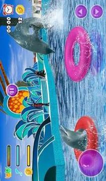 Water Park Dolphin Show Water World Dolphin Games游戏截图5