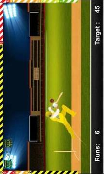 Play IPL Cricket Game 2018游戏截图1