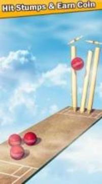 Top Cricket Ball Slope Game游戏截图1