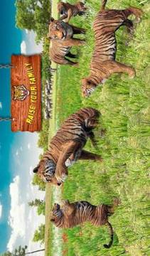 Ultimate Tiger Family Wild Animal Simulator Games游戏截图4