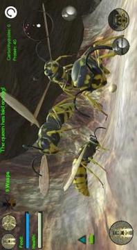 Wasp Nest Simulator - Insect and 3d animal game游戏截图4