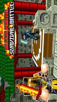 Block mortal survival kombat游戏截图1