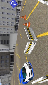 Chiron Driving Simulator游戏截图5