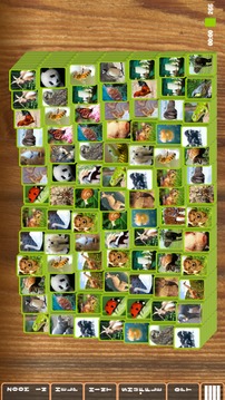 Mahjong Fauna: Animal Tiles LE游戏截图2