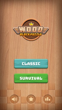 Wood Block Puzzle 1010游戏截图2