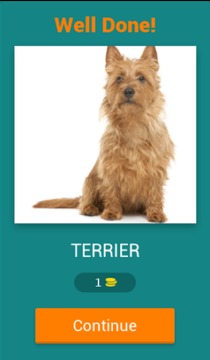 Dog Breeds Quiz游戏截图2