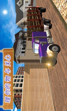 美国 卡车 驱动程序游戏截图4