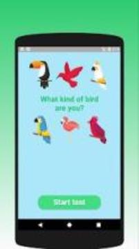 What kind of bird are you? Test游戏截图4