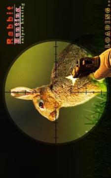 Rabbit hunting - Sniper Hunters Challenge Game游戏截图4