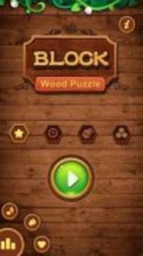 new Wood Puzzle Block 2018游戏截图4