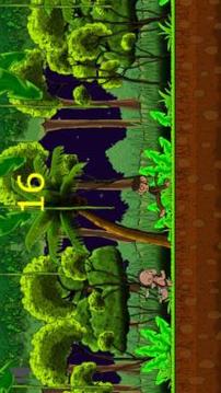 Monkey Jungle游戏截图3