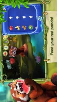 My Red Panda - The cute animal simulation游戏截图5