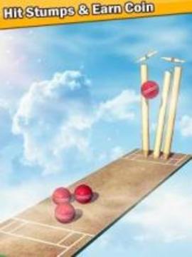 Top Cricket Ball Slope Game游戏截图4