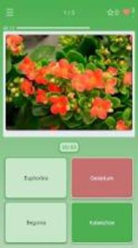 Guess the Plant (House, Garden)游戏截图1