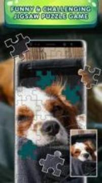 Jigsaw Puzzles Free Game OFFLINE, Picture Puzzle游戏截图4