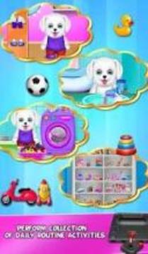 Puppy Daily Activities Game - Pet Daycare游戏截图1