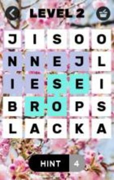 Find Kpop idols names游戏截图2