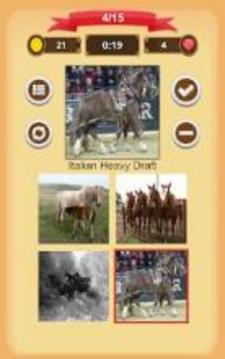 Horse Quiz游戏截图3