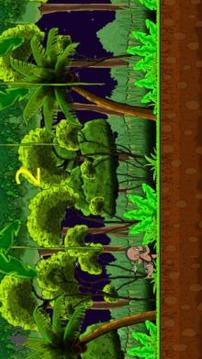 Monkey Jungle游戏截图2
