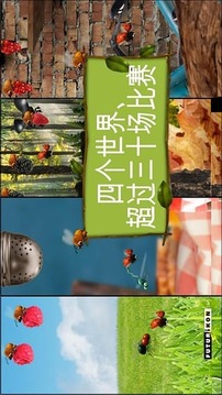 minuscule, Busy Bugs!游戏截图5